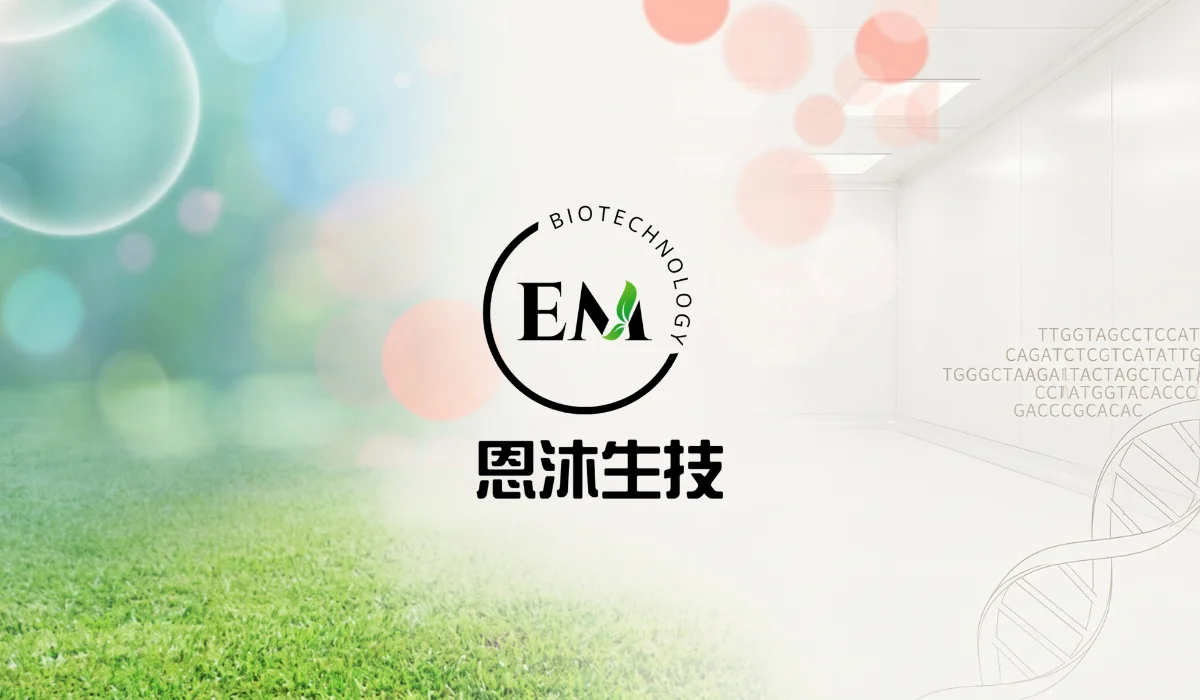 banner5