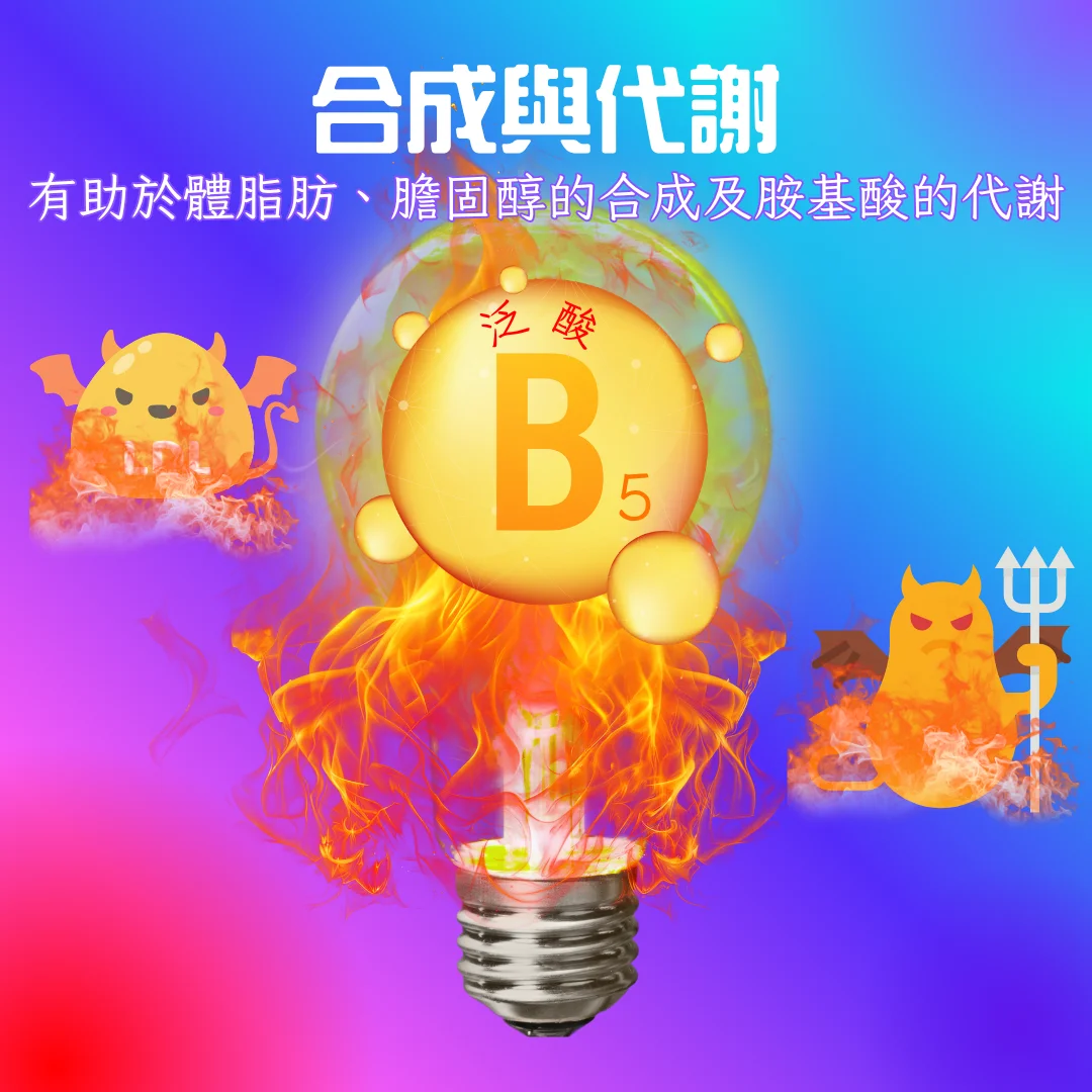 舒活力