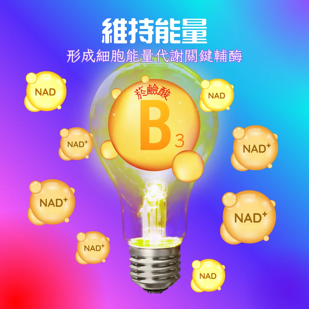 舒活力